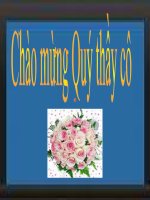 Tập đọc: Chương trình xiếc đặc sắc