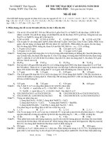 Đề thi thử đại học cao đẳng năm 2010 môn Hóa Học