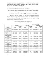 THỰC TRẠNG SỬ DỤNG VỐN TẠI CÔNG TY CỔ PHẦN THƯƠNG MẠI ĐẦU TƯ VÀ XÂY DỰNG CONSTREXIM