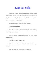 Kinh Lạc Chẩn