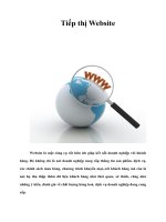 Tiếp thị Website