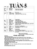 GIAO AN LOP 2 TUAN 5  NAM 2010