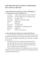 GIỚI THIỆU TỔNG QUAN VỀ CÔNG TY TNHH THƯƠNG MẠI VÀ DỊCH VỤ THÉP VIỆT