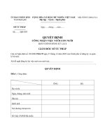 Mẫu quyết định công nhận việc nhận cha- mẹ -con (Đăng ký lại)