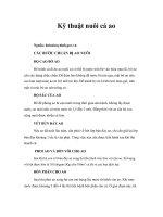 Kỹ thuật nuôi cá ao