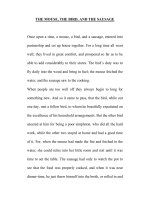 THE MOUSE, THE BIRD, AND THE SAUSAGE - GRIMM’S FAIRY TALES