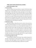 TỔNG QUAN CHUNG VỀ BẢO HỘ LAO ĐỘNG