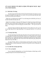 LÝ LUẬN CHUNG VỀ CHẤT LƯỢNG TÍN DỤNG NGẮN  HẠN CỦA NGÂN HÀNG