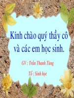 Tiết 15 - Sinh hoc 9