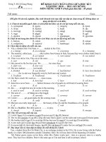 ĐỀ KHẢO SÁT GIỮA KÌ I CÓ ĐÁP ÁN