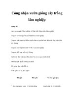 Công nhận vườn giống cây trồng lâm nghiệp