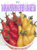 bài 19 theo chuẩn ktsh12