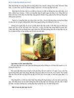 MÓN ĂN VỚI ĐẬU BẮP