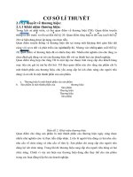 CƠ SỞ LÍ THUYẾT