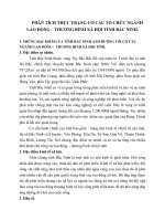 PHÂN TÍCH THỰC TRẠNG CƠ CẤU TỔ CHỨC NGÀNH LAO ĐỘNG