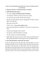 Phân tích hoạt động Marketing Mix của công ty cổ phần gạch ốp lát Thái Bình