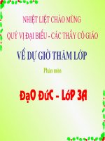 Giáo án lớp 3 môn đạo đức