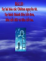 lai hoa orbitan moi nhat