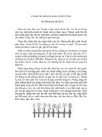 Người mặt nạ đen ở nước Angiep - Cánh cửa hàng rào cuối cùng