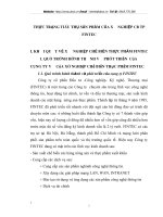 THỰC TRẠNG TIÊU THỤ SẢN PHẨM CỦA XÍ NGHIỆP CB TP FINTEC