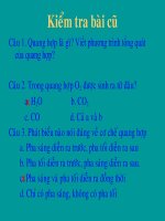 bai 28- chu ky te bao- 10 nang cao