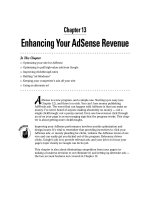 Enhancing Your AdSense Revenue