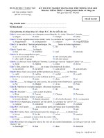 Đề thi chính thức kỳ thi tốt nghiệp THPT 2010 môn tiếng Pháp - Chương trình chuẩn và nâng cao (Mã đề thi 263)