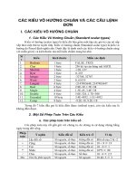 CÁC KIỂU VÔ HƯỚNG CHUẨN VÀ CÁC CÂU LỆNH ĐƠN