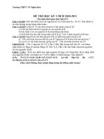 ĐÈ THI KỲ I 10 CB (tự luận)
