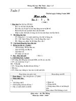 Giáo án LỚp 1 Tuần 4-Sơn