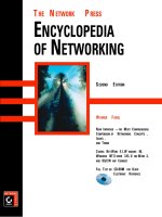 Encyclopedia of Networking P1