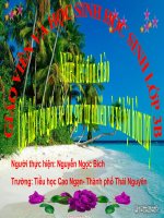 TNXH LỚP 3(gửi Bích)