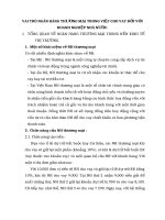 VAI TRÒ NGÂN HÀNG THƯƠNG MẠI TRONG VIỆC CHO VAY ĐỐI VỚI ĐOANH NGHIỆP NHÀ NƯỚC