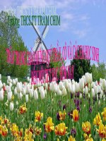 dien tich hinh chu nhut