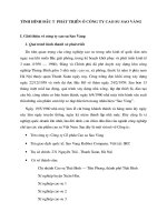 TÌNH HÌNH ĐẦU TƯ  PHÁT TRIỂN Ở CÔNG TY CAO SU SAO VÀNG