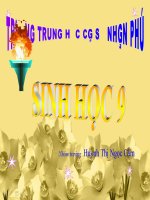 Bài 2 0 : Quan sát và lắp mô hình ADN