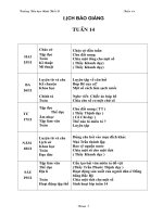 GIAO AN TUAN 14- LOP 4 CKTKN