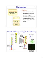 Cảm biến sinh học