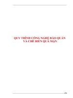 Quy trình công nghệ bảo quản chế biến quản mận