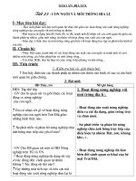 Tiet 25-Con Người và môi trường địa lý