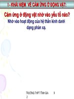 CẢM ỨNG Ở ĐỘNG VẬT