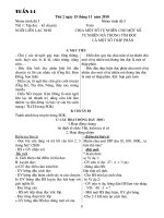 giao án ghép 3+5 chuẩn