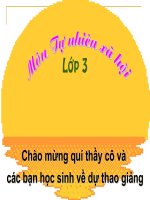 TNXH lop 3 - An toan khi di xe dap