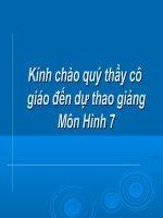 hình 7 tiết 40