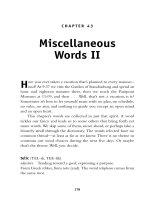 Miscellaneous Words II