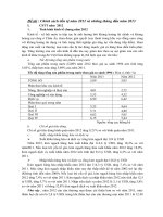 Chính sách tiền tệ năm 2012 và những tháng đầu năm 2013