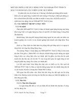 MỘT SỐ CHIẾN LƯỢC HUY ĐỘNG VỐN TẠI NHNo& PTNT TỈNH CÀ MAU VÀ ĐÁNH GIÁ CÁC CHIẾN LƯỢC HUY ĐỘNG