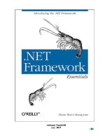 NET Framework Essentials