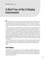 A Brief Tour of the X Display Environment
