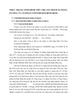 THỰC TRẠNG TÌNH HÌNH TIÊU THỤ SẢN PHẨM XI MĂNG Ở CÔNG TY CỔ PHẦN CONSTREXIM BÌNH ĐỊNH